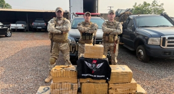 Integração: PMGO e FICCO-MS apreendem 350Kg de droga